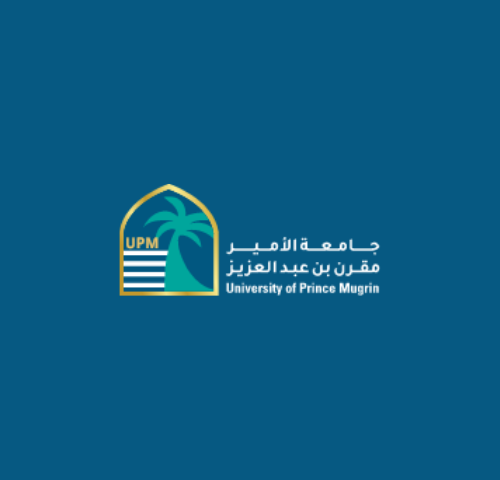 University of Prince Mugrin