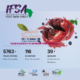 IFSA Africa 2026